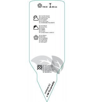 Etichette di Hosta xundulata *