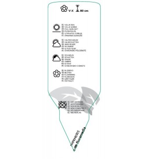 Etichette di Fuchsia 'Walz Jubelteen' *