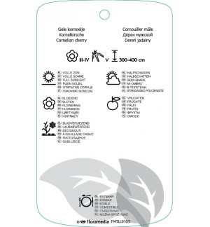 Etichette di Cornus mas *