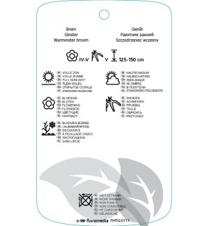 Etichette di Cytisus xpraecox *