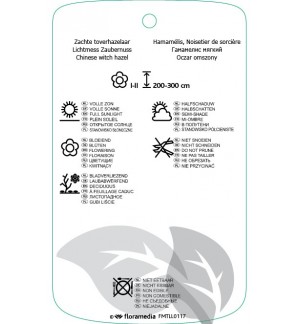 Etichette di Hamamelis mollis *