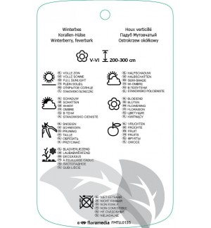 Etichette di Ilex verticillata *