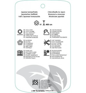 Etichette di Lonicera japonica ‘Halliana’ *