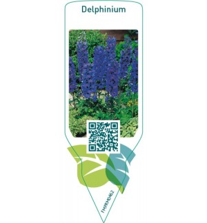 Etichette di dilphinium  darkblue *