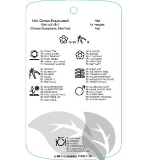 Etichette di Actinidia diliciosa  mnl *