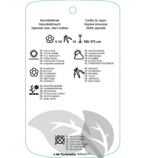 Etichette di Kerria japonica ‘Pleniflora’ *