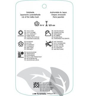 Etiquetas de Pieris japonica *