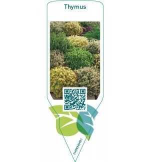 Etiquetas de Thymus  mix *