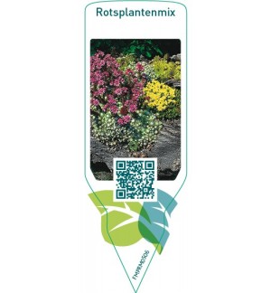 Etichette di Rockgardin  mix *