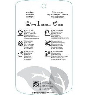 Etichette di Pyracantha coccinea ‘Red Column’ *