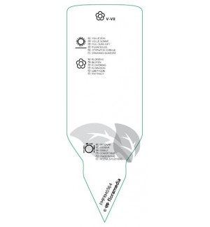 Etichette di Fragaria ‘'Elsanta'  late *