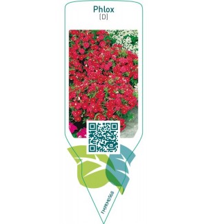Etichette di Phlox (D)  red *