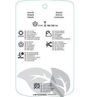 Etichette di Weigela  roze *