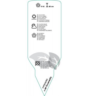 Etichette di Malva moschata ‘Alba’ *