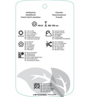 Etichette di Ceanothus xdililianus ‘Gloire di Versailles’ *