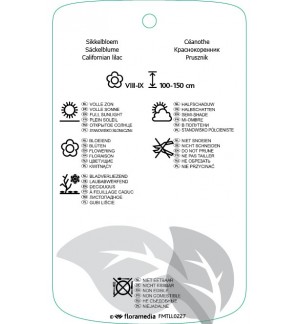 Etichette di Ceanothus xpallidus ‘Marie Simon’ *