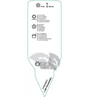 Etichette di Mentha piperita (peppermint) *