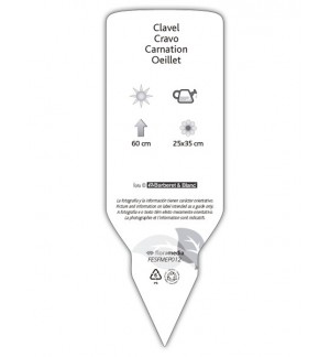 Etichette di Clavel amarillo-rojo