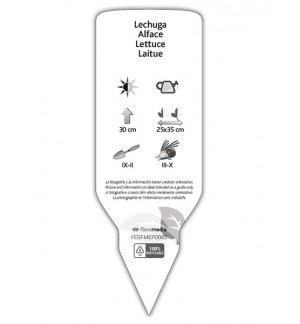 Etichette di Lechuga Cogollos