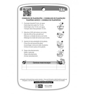 Etichette di Prugna del Natal