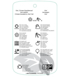 Etichette di Actinidia diliciosa *