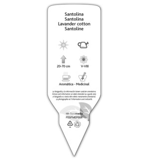 Etichette di Santolina