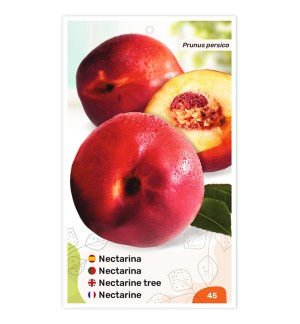 Etiquetas de Nectarina (vermelha)