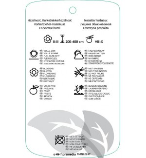 Etichette di Corylus avellana ‘Contorta’ *