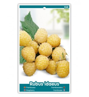 Frambueso (amarillo)