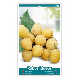 Frambueso (amarillo)