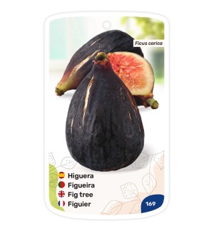 Etichette di Higuera Breva