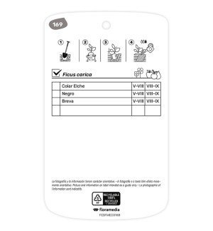 Etichette di Higuera Breva