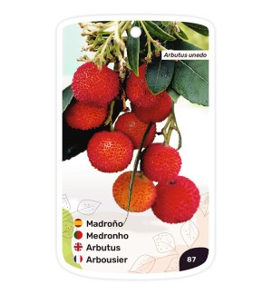 Etichette di Madroño