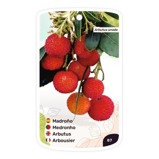 Etichette di Madroño