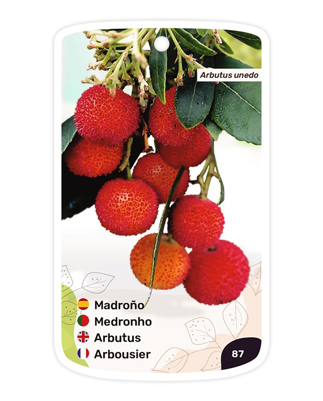 Etichette di Madroño