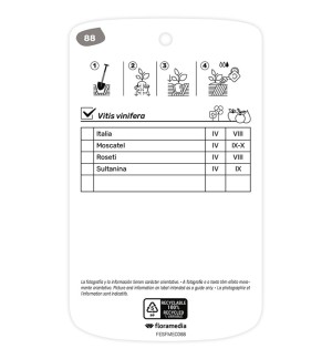 Etichette di Parra (amarilla)