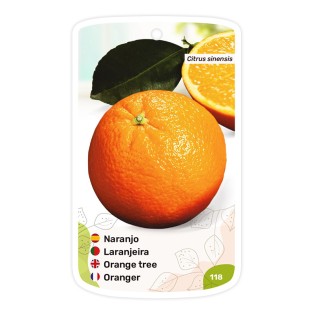 Etichette di Naranjo