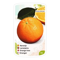 Etichette di Naranjo