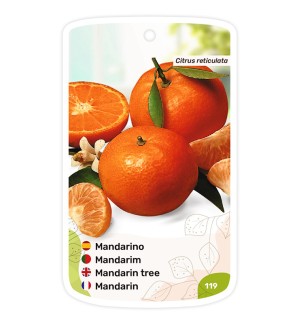 Etiquetas de Mandarino