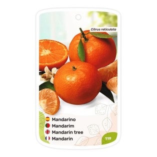 Etichette di Mandarino