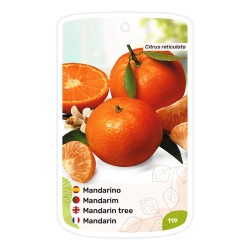 Etichette di Mandarino