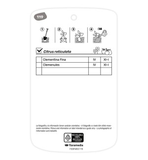 Etichette di Mandarino