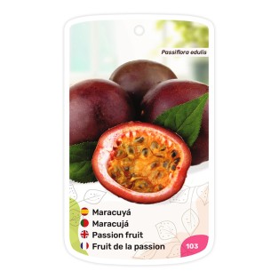 Maracuyá