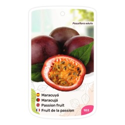 Maracuyá