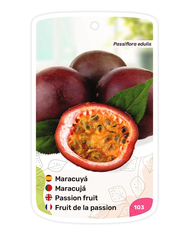 Maracuyá