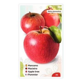 Etiquetas de Macieira (vermelha)