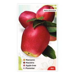 Manzano (rojo)