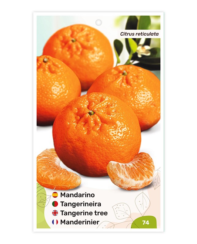Etiquetas de Tangerineira Clementina
