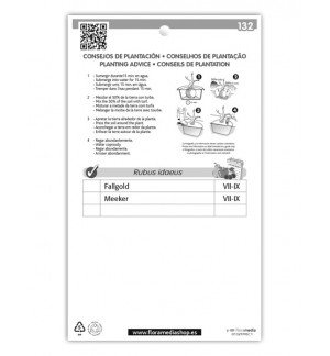 Etichette di Frambueso (amarillo)