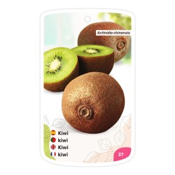 Kiwi